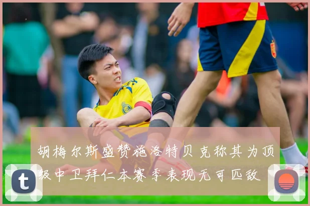胡梅尔斯盛赞施洛特贝克称其为顶级中卫拜仁本赛季表现无可匹敌