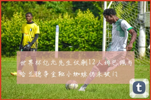 世界杯亿元先生仅剩12人姆巴佩与哈兰德争金靴小蜘蛛仍未破门
