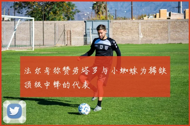 法尔考称赞劳塔罗与小蜘蛛为稀缺顶级中锋的代表